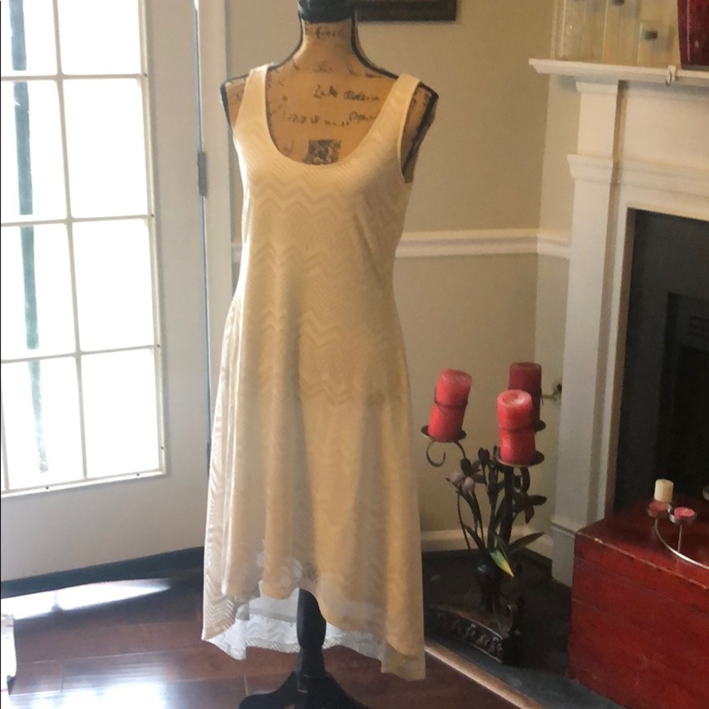 New York & Company Hi-Lo Slip Sleeveless Dress.